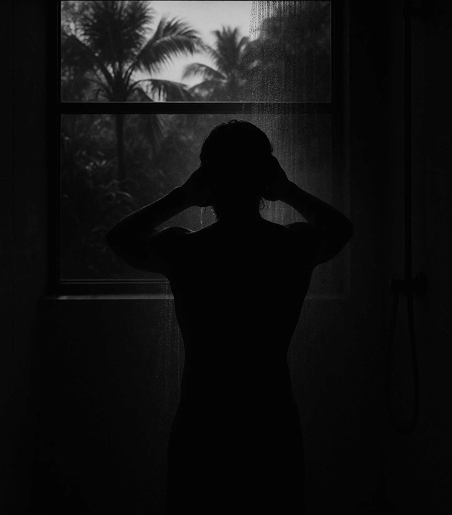 Silueta de una persona frente a una ventana con palmeras